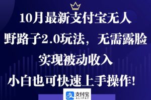 10月最新支付宝无人野路子2.0玩法，无需露脸，实现被动收入，小白也可…